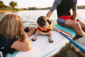 Dating With Dogs Series: 10 Dog-Friendly Date Ideas