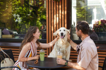 Dating with Dogs: 7 Dog-Friendly Outdoor Date Ideas