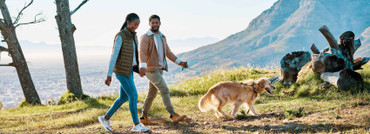 Dating With Dogs: Will Finding Your Match Depend on Fido?