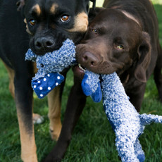 Top 5 Benefits of Plush Toys for Dogs & Cats