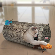 Training Cats? Yes Really! (Part 1)
