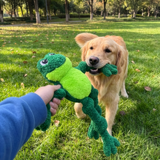 Dating With Dogs: Dog-Friendly Spring Dates