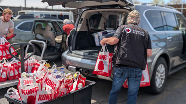 When Disaster Strikes: How Colorado Pet Pantry, American Red Cross, and KONG Help Pets in Need 