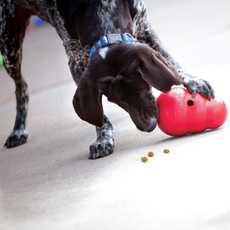 How to Use KONG® for Dog Weight Management