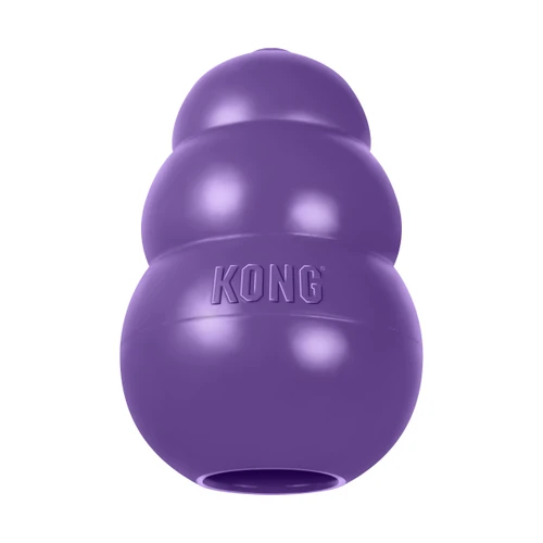 Purple bone-shaped dog toy with rope through the ends.