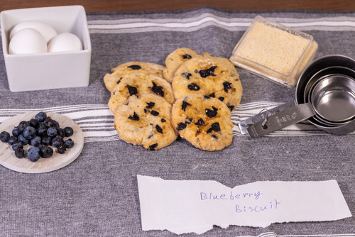 Blueberry Biscuit