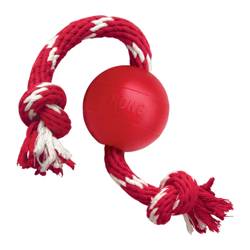 Red natural rubber ball dog toy with a red and white rope through the center.