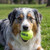 SqueakAir Balls Large, 2 Pack