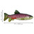 Ranbow Trout Fish-shaped dog toy in green, pink, and white. Shown with product dimensions