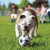 Sport Balls Medium, 2 Pack, Assorted Colors