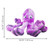 Purple plush Octopus dog toy with long neck and stitched features. Shown with product dimensions