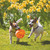 Jumbler Ball, Assorted Colors