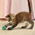 Cat Active Tennis Balls w/Bells