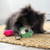Snuzzles Mini Frog