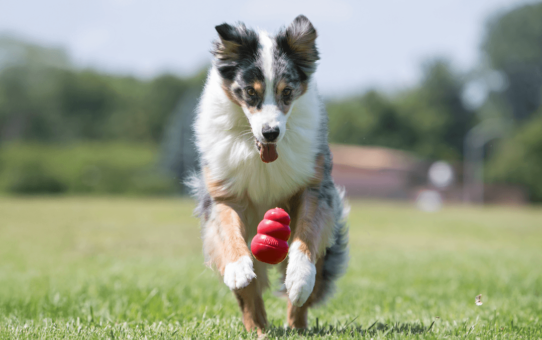 <span>We Believe in</span>The Power of Play