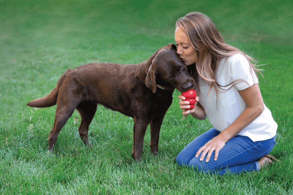 Supporting Shelter Animals