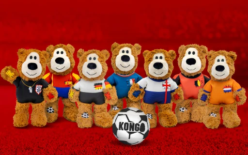 Group of stuffed bear toys all wearing different country soccer jerseys. In the middle is a soccer ball with KONG wording on it. The background is red. 