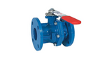 What's the Difference Between Cast Iron and Steel Ball Valves?