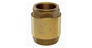 What is an In-Line Check Valve?