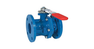 What's the Difference Between Cast Iron and Steel Ball Valves?