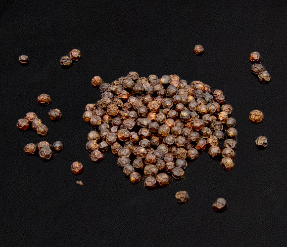 Poivre noir en grains de Madagascar 200gr sachet kraft refermable :  : Epicerie