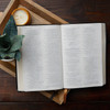 NRSV Catholic Bible - Thinline Edition
