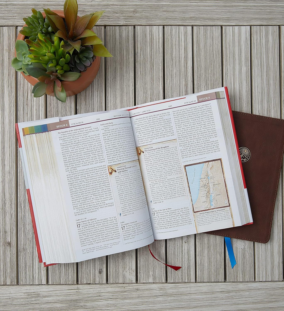 洋書 CHRONOLOGICAL BIBLE 洋書 CHRONOLOGICAL BIBLE 洋書 CHRONOLOGICAL BIBLE Reader's Guide