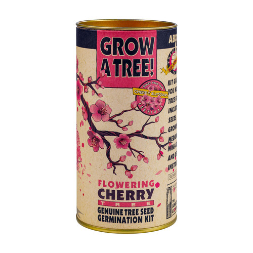 MOTB Cherry Blossom Tree Grow Kit