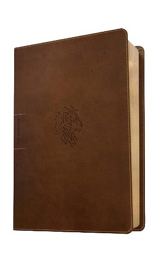 NLT Courage For Life Study Bible for Men