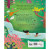 Image shows the back cover of the book, The Garden, The Curtain, and The Cross book with a blurb about the book, that takes readers from the Garden of Eden to the cross of Christ.