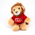 Image shows an adorable 9-inch lion plush toy wearing a red Museum of the Bible hoodie.