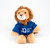 Image shows an adorable 9-inch lion plush toy wearing a blue Museum of the Bible hoodie.