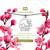 The image shows a cherry-blossom stainless-steel necklace in its packaging.