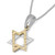 Gold & Silver Star of David Necklace