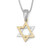 Gold & Silver Star of David Necklace