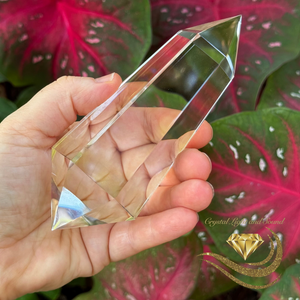 Brazilian Clear Quartz  Vogel-Ereydon© Wand