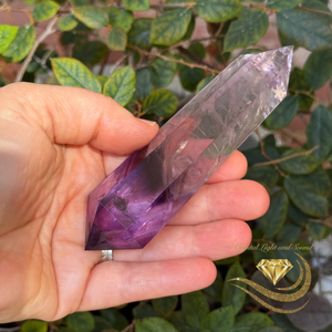 Amethyst Vogel Crystal Wands with Rainbows