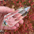 Natural Brazilian Clear Quartz Vogel Crystal Wand Generator,  8 Facets, 200+grams