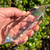 Magical Natural Brazilian Clear Quartz  Wand- 6 Facets, 276 Grams