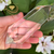 Brazilian Clear Quartz  Vogel-Eredyon© Wand with Blue Ray ~ 6 Facets (334g)