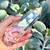 Brazilian Clear Quartz Vogel-Eredyon© Wand - 6 Facets (380g)