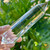 Beautiful Clear Quartz Vogel Wand - 13 Facets - 171 Grams