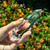 VoNEW! Natural Clear Quartz Vogel Wands - 4 Facets - 70+ Grams