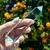NEW! Natural Clear Quartz Vogel Wands - 4 Facets - 70+ Grams
