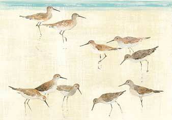 Sandpipers