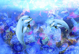 Dolphins