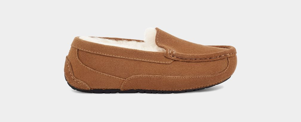 Shoes Mens Ugg Olsen UGG Kid's Ascot Slipper In Chestnut Daniels Shoes