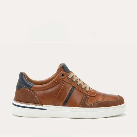 Naot Men's Swift Dress Casual in Brown/Navy