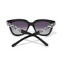 Brighton Interlok Infinity Sunglasses in Midnight Brighton Interlok Infinity Sunglasses in Midnight