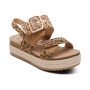 Aetrex Vania  Arch Support Platform Sandal in Vania Leopard